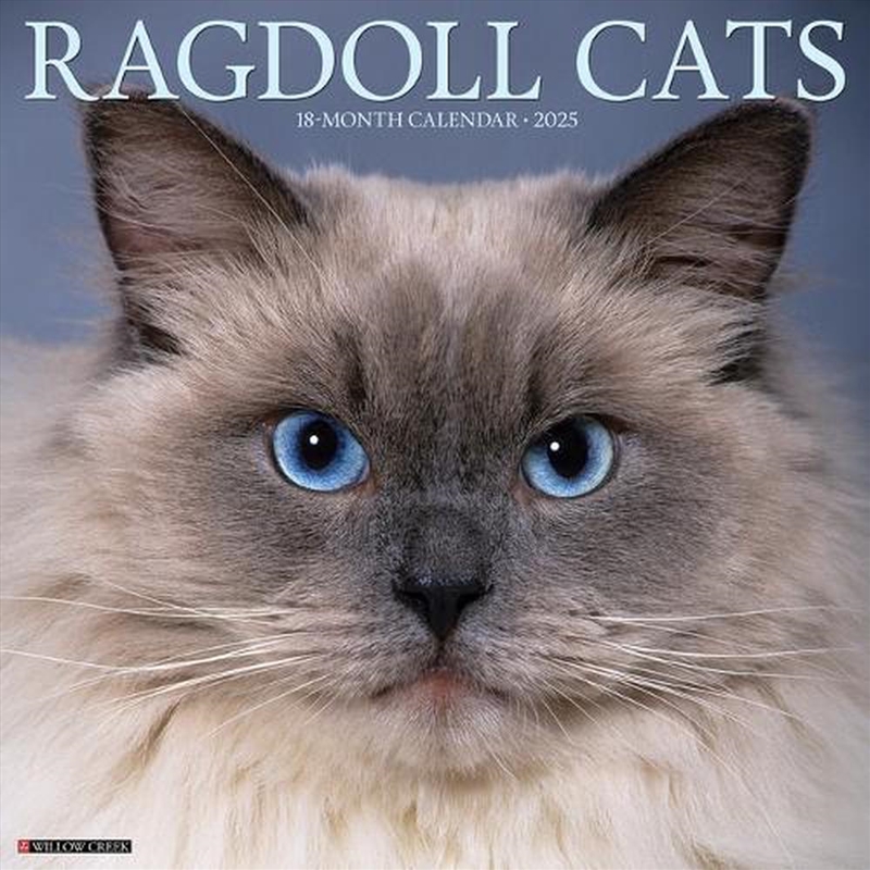 Ragdoll Cats 2026 12 X 12 Wall Calendar/Product Detail/Calendars & Diaries