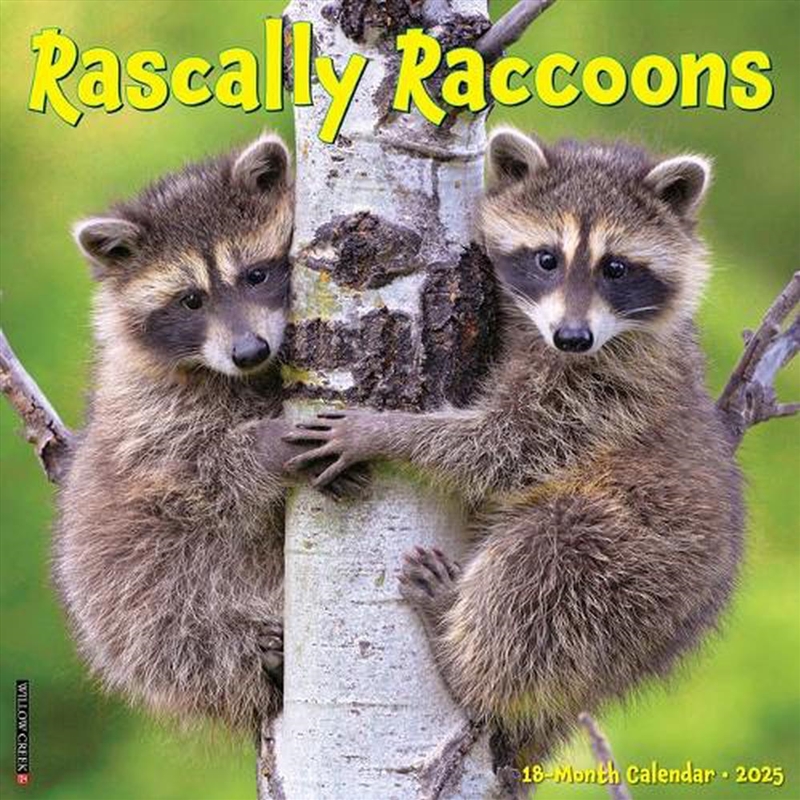 Rascally Raccoons 2026 12 X 12 Wall Calendar/Product Detail/Calendars & Diaries