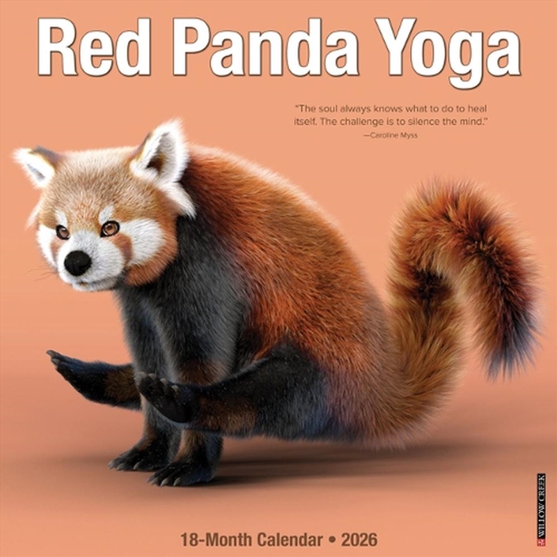 Red Panda Yoga 12 X 12 Wall Calendar/Product Detail/Calendars & Diaries