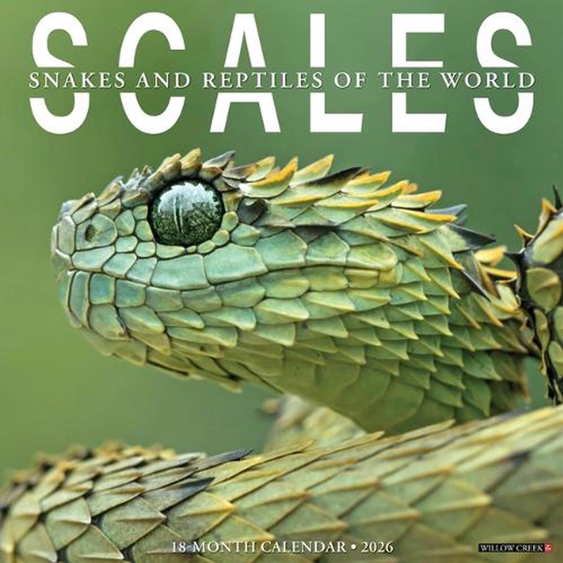 Scales 12 X 12 Wall Calendar/Product Detail/Calendars & Diaries