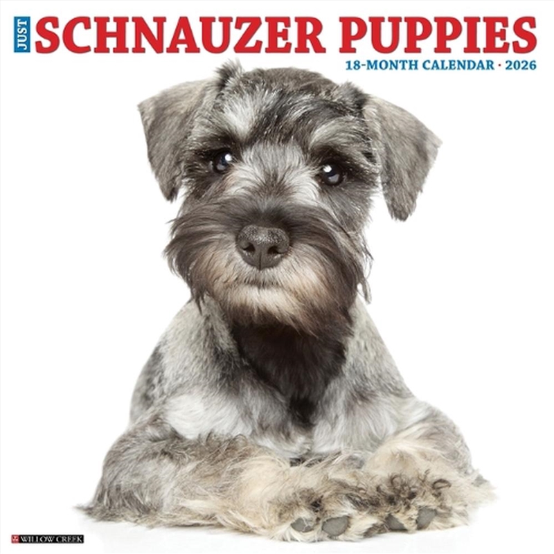 Schnauzer Puppies 2026 12 X 12 Wall Calendar/Product Detail/Calendars & Diaries