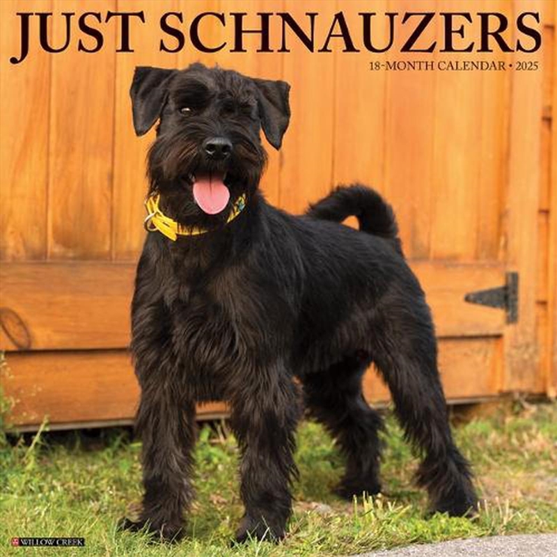 Schnauzers 2026 12 X 12 Wall Calendar/Product Detail/Calendars & Diaries
