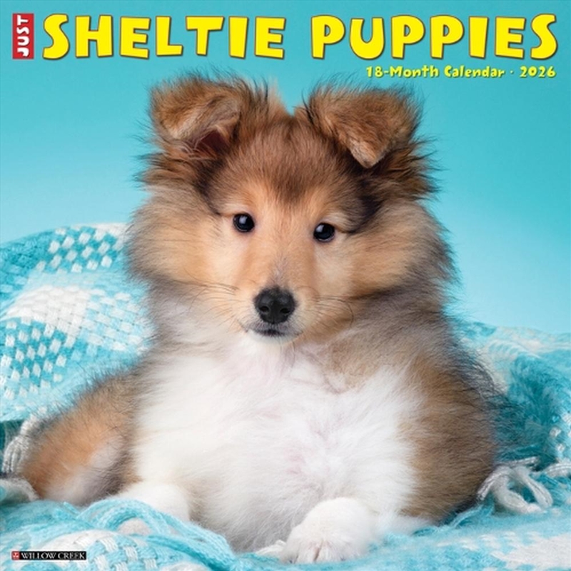 Sheltie Puppies 2026 12 X 12 Wall Calendar/Product Detail/Calendars & Diaries