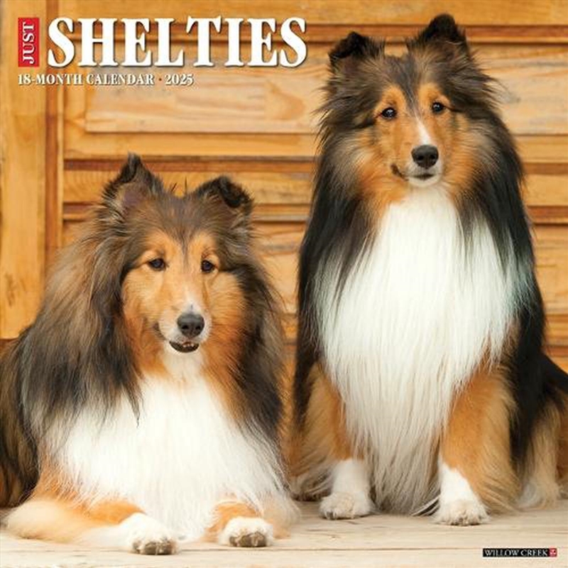 Shelties 2026 12 X 12 Wall Calendar/Product Detail/Calendars & Diaries