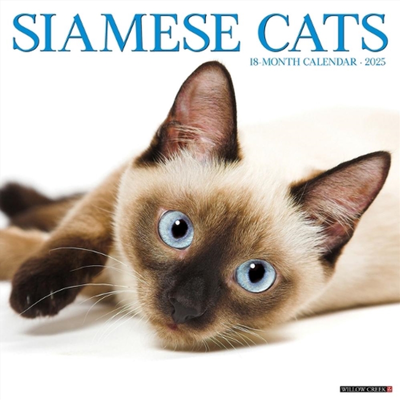 Siamese Cats 2026 12 X 12 Wall Calendar/Product Detail/Calendars & Diaries