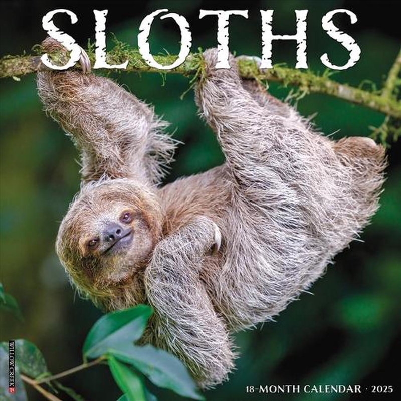 Sloths 2026 12 X 12 Wall Calendar/Product Detail/Calendars & Diaries
