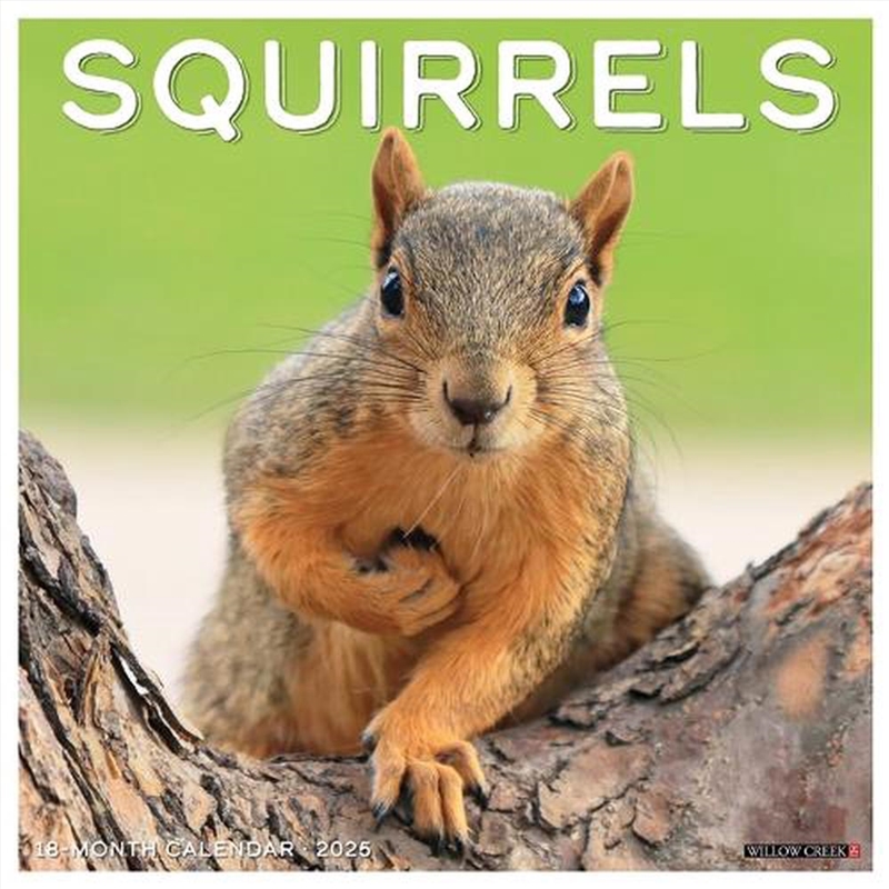 Squirrels 2026 12 X 12 Wall Calendar/Product Detail/Calendars & Diaries