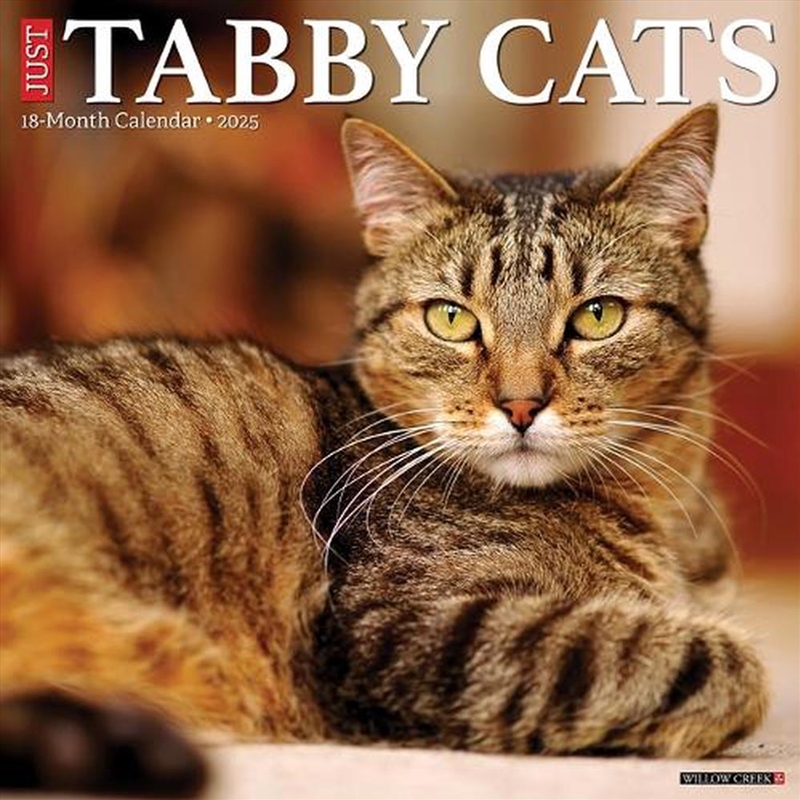 Tabby Cats 2026 12 X 12 Wall Calendar/Product Detail/Calendars & Diaries