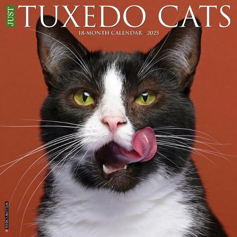 Tuxedo Cats 2026 12 X 12 Wall Calendar/Product Detail/Calendars & Diaries