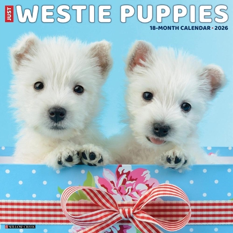 Westie Puppies 2026 12 X 12 Wall Calendar/Product Detail/Calendars & Diaries