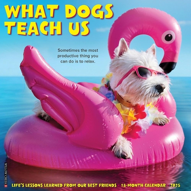 What Dogs Teach Us 2026 12 X 12 Wall Calendar/Product Detail/Calendars & Diaries