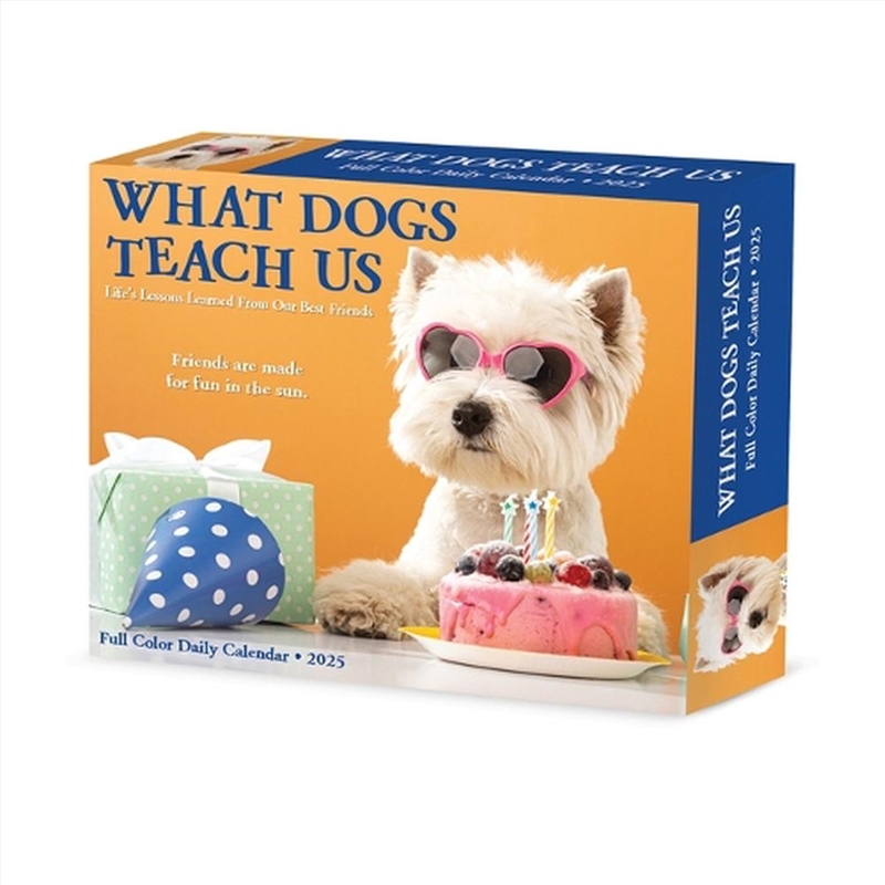 What Dogs Teach Us 2026 5.4 X 6.2 Box Calendar/Product Detail/Calendars & Diaries