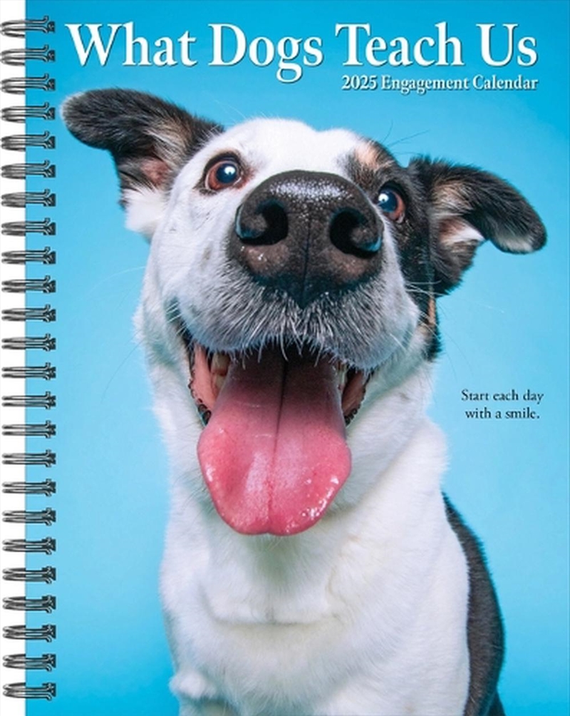 What Dogs Teach Us 2026 6.5 X 8.5 Engagement Calendar/Product Detail/Calendars & Diaries