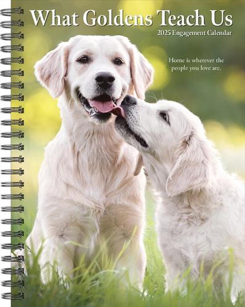 What Goldens Teach Us 2026 6.5 X 8.5 Engagement Calendar/Product Detail/Calendars & Diaries