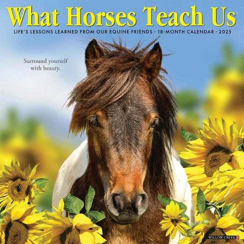 What Horses Teach Us 2026 12 X 12 Wall Calendar/Product Detail/Calendars & Diaries