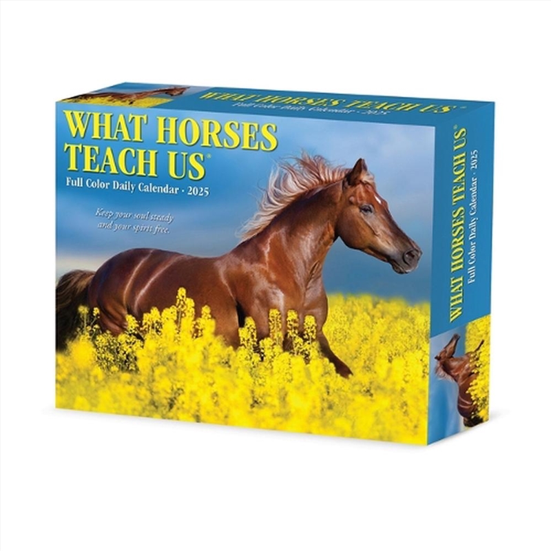 What Horses Teach Us 2026 5.4 X 6.2 Box Calendar/Product Detail/Calendars &amp; Diaries