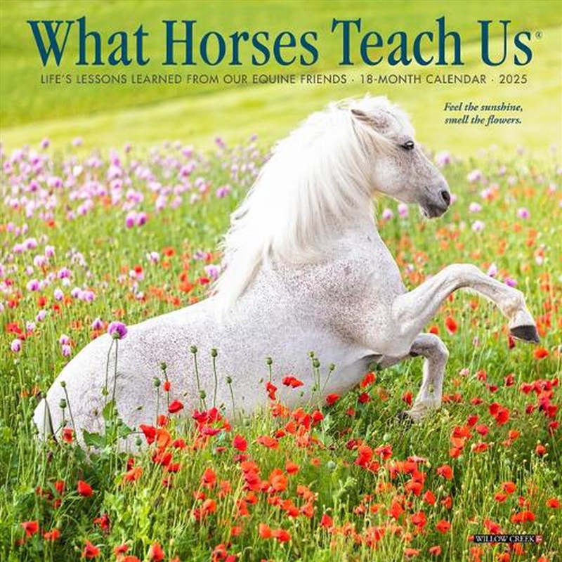 What Horses Teach Us 2026 7 X 7 Mini Wall Calendar/Product Detail/Calendars & Diaries