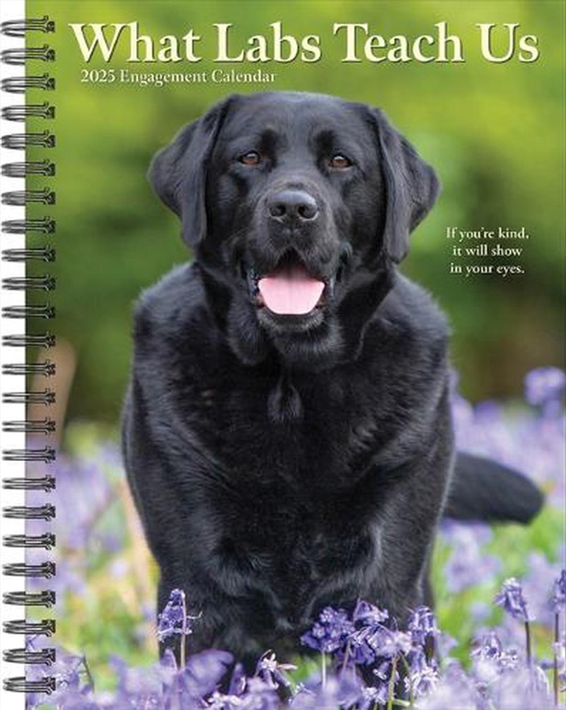 What Labs Teach Us 2026 6.5 X 8.5 Engagement Calendar/Product Detail/Calendars & Diaries