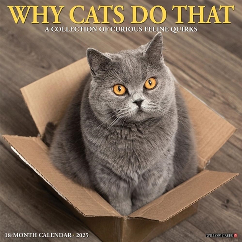 Why Cats Do That 2026 12 X 12 Wall Calendar/Product Detail/Calendars & Diaries