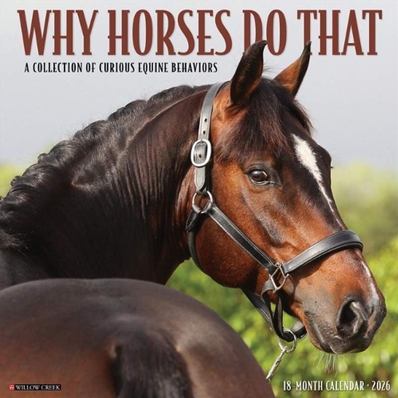Why Horses Do That 2026 12 X 12 Wall Calendar/Product Detail/Calendars & Diaries