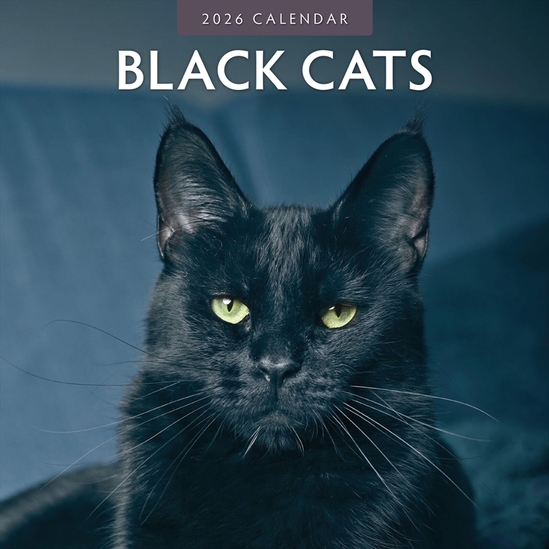 Black Cats 2026 Square Wall Calendar/Product Detail/Calendars & Diaries