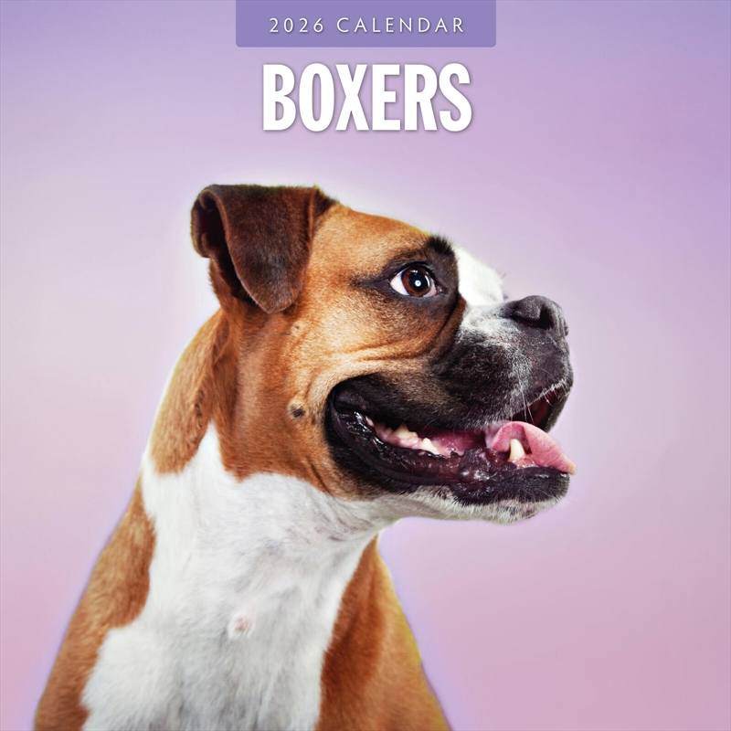 Boxers 2026 Square Wall Calendar/Product Detail/Calendars & Diaries