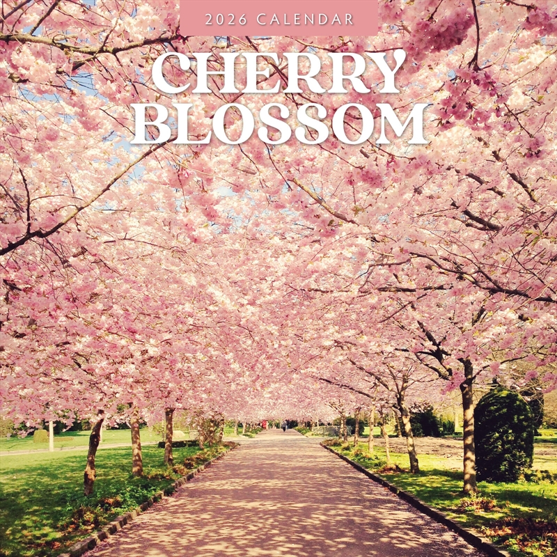 Cherry Blossom 2026 Square Wall Calendar/Product Detail/Calendars & Diaries
