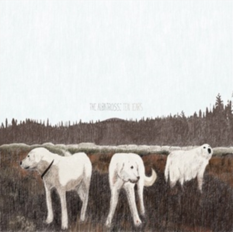 Albatross: Ten Years/Product Detail/Rock/Pop