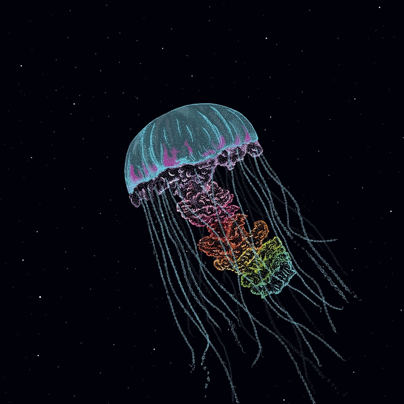 Passive Margins/Product Detail/Dance