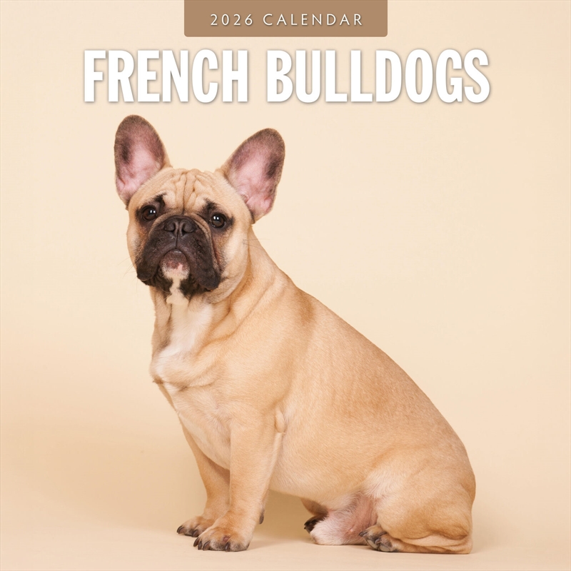 French Bulldogs 2026 Square Wall Calendar/Product Detail/Calendars & Diaries