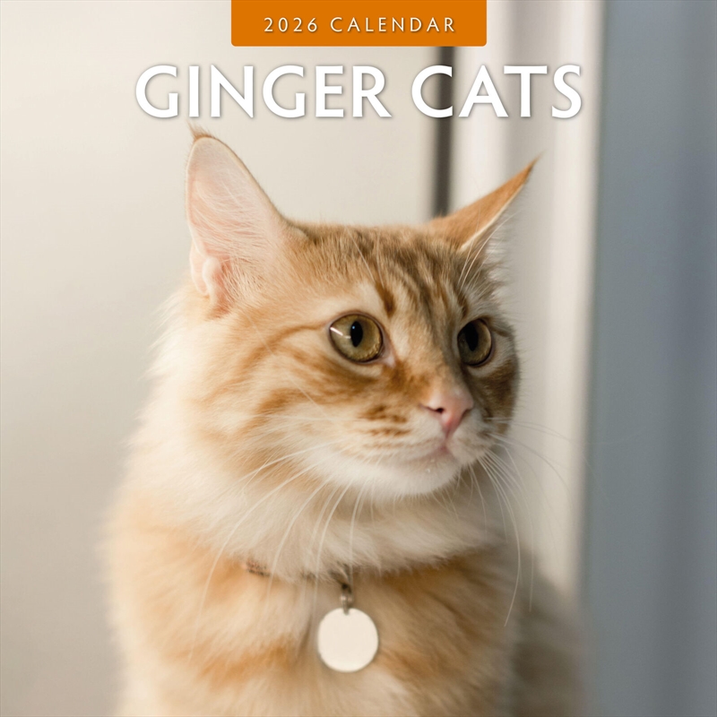 Ginger Cats 2026 Square Wall Calendar/Product Detail/Calendars & Diaries