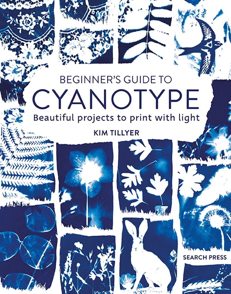 Beginner's Guide to Cyanotype/Product Detail/Art