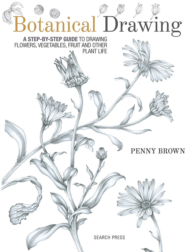 Botanical Drawing: Step By Step Guide To Drawing Flowers/Product Detail/Crafts & Handiwork