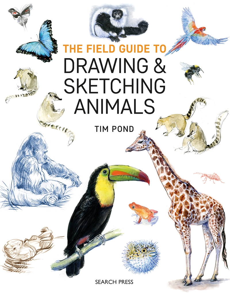 Field Guide To Drawing & Sketching Animals/Product Detail/Crafts & Handiwork