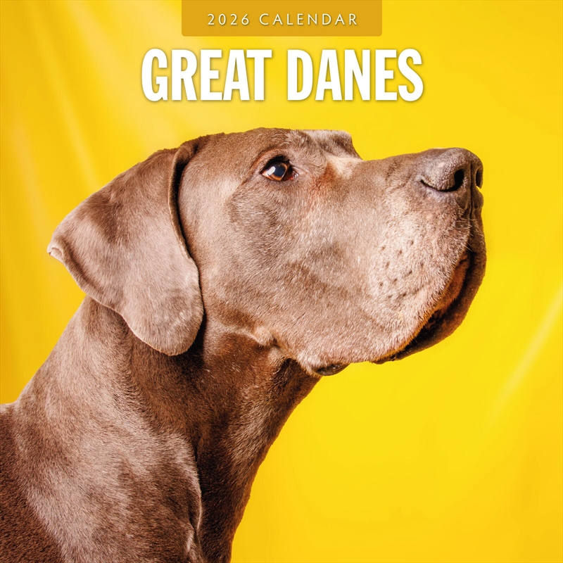Great Danes 2026 Square Wall Calendar/Product Detail/Calendars & Diaries