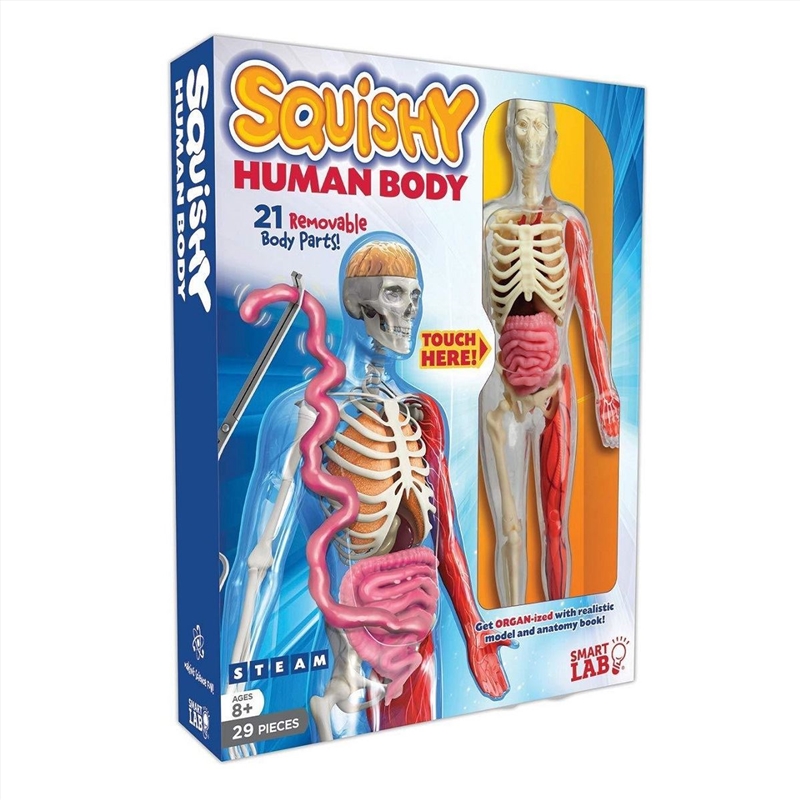 Squishy Human Body/Product Detail/STEM Toys & Kits