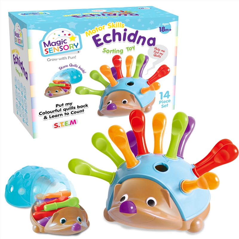 Fine Motor Skills Echidna/Product Detail/Toys