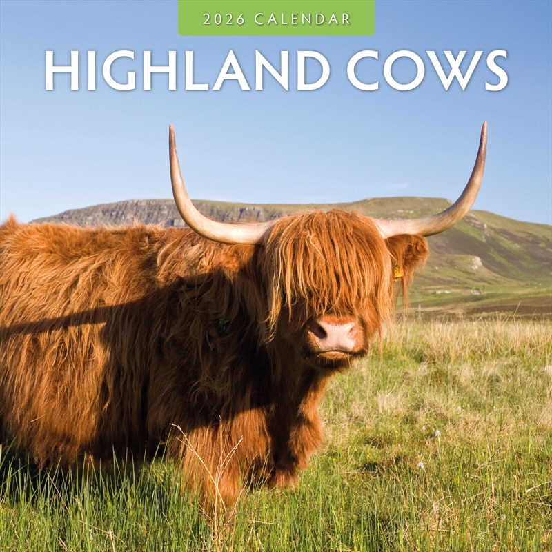 Highland Cows 2026 Square Wall Calendar/Product Detail/Calendars & Diaries