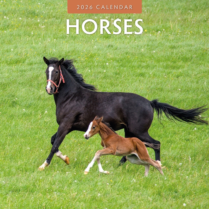 Horses 2026 Square Wall Calendar/Product Detail/Calendars & Diaries