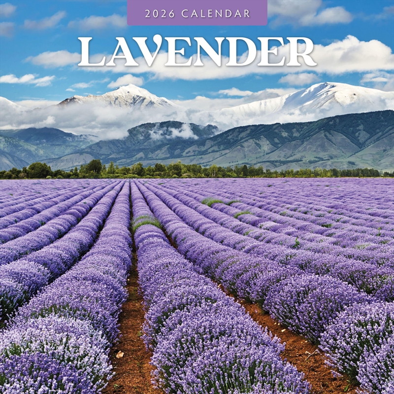 Lavender 2026 Square Wall Calendar/Product Detail/Calendars & Diaries
