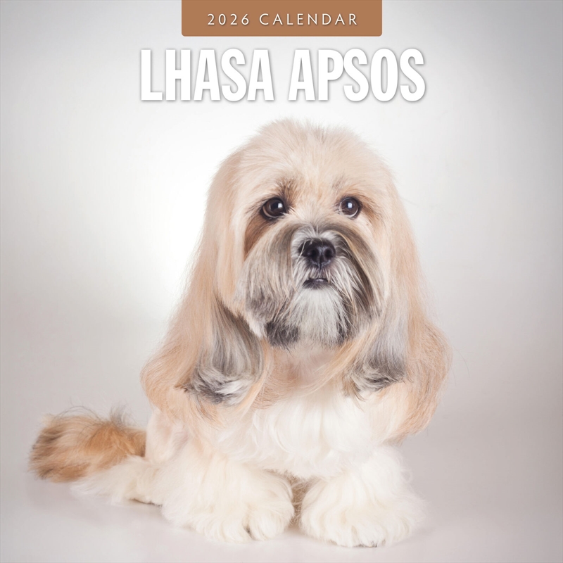 Lhasa Apsos 2026 Square Wall Calendar/Product Detail/Calendars & Diaries