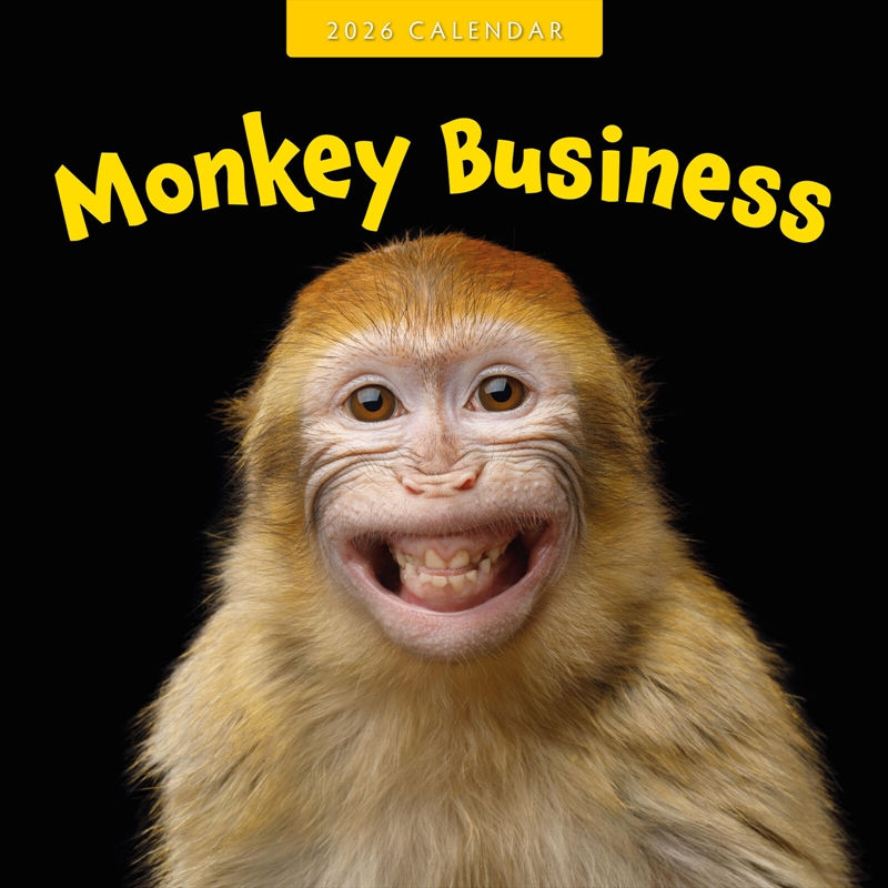 Monkey Business 2026 Square Wall Calendar/Product Detail/Calendars & Diaries