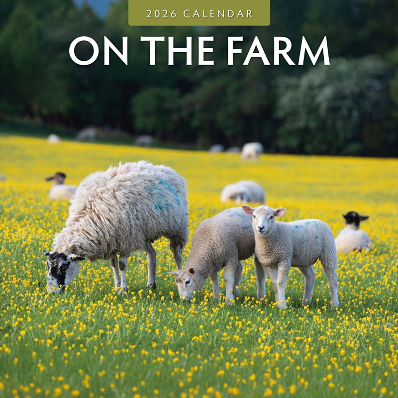 On The Farm 2026 Square Wall Calendar/Product Detail/Calendars & Diaries