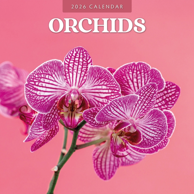 Orchids 2026 Square Wall Calendar/Product Detail/Calendars & Diaries