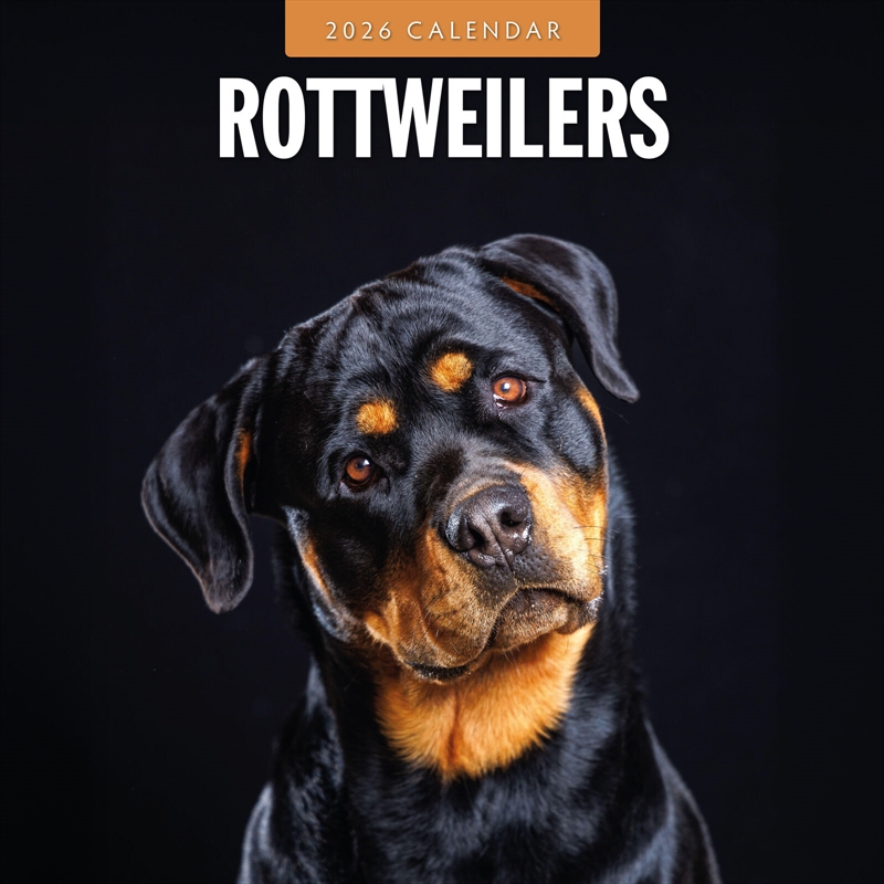 Rottweilers 2026 Square Wall Calendar/Product Detail/Calendars & Diaries