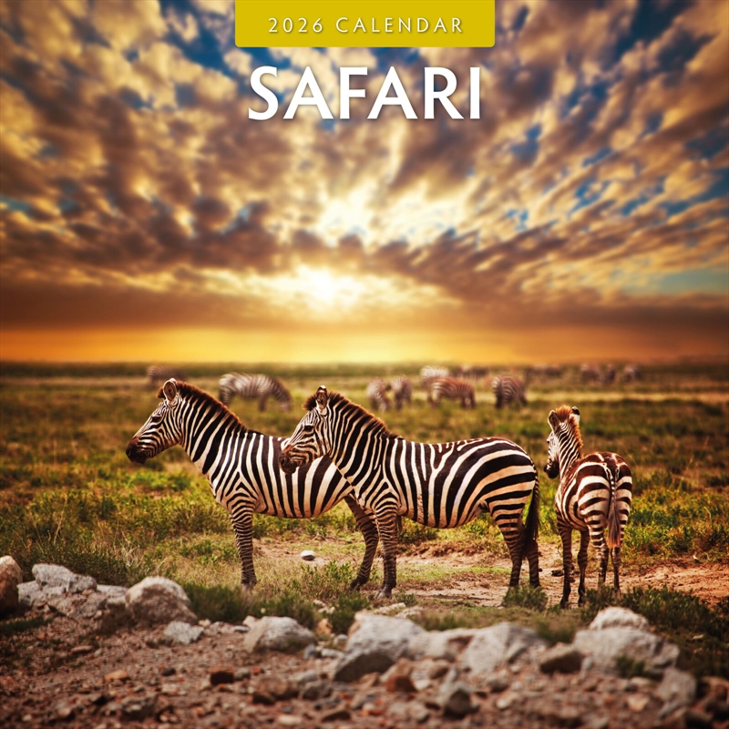 Safari 2026 Square Wall Calendar/Product Detail/Calendars & Diaries
