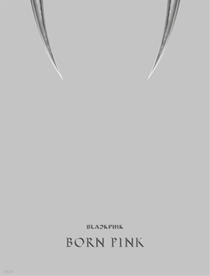 Blackpink - 2nd Album Born Pink Box Set Gray Ver/Product Detail/World