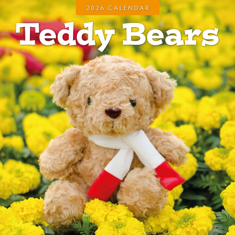 Teddy Bears 2026 Square Wall Calendar/Product Detail/Calendars & Diaries