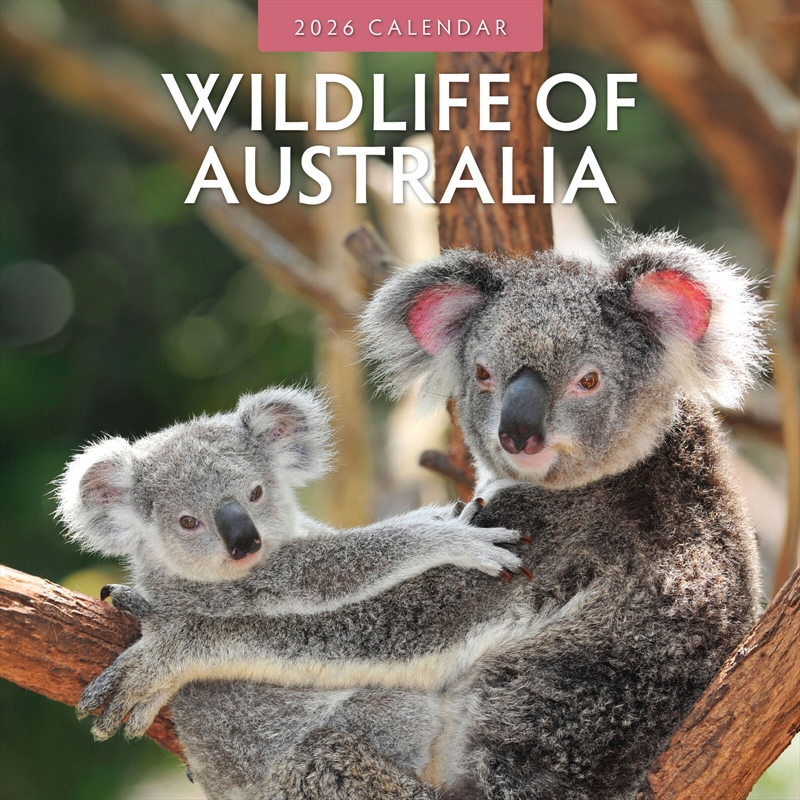 Wildlife Of Australia 2026 Square Wall Calendar/Product Detail/Calendars & Diaries