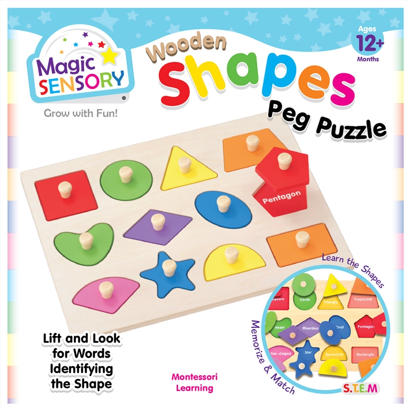 Wooden Shape Match Pin Puzzle/Product Detail/Jigsaw Puzzles